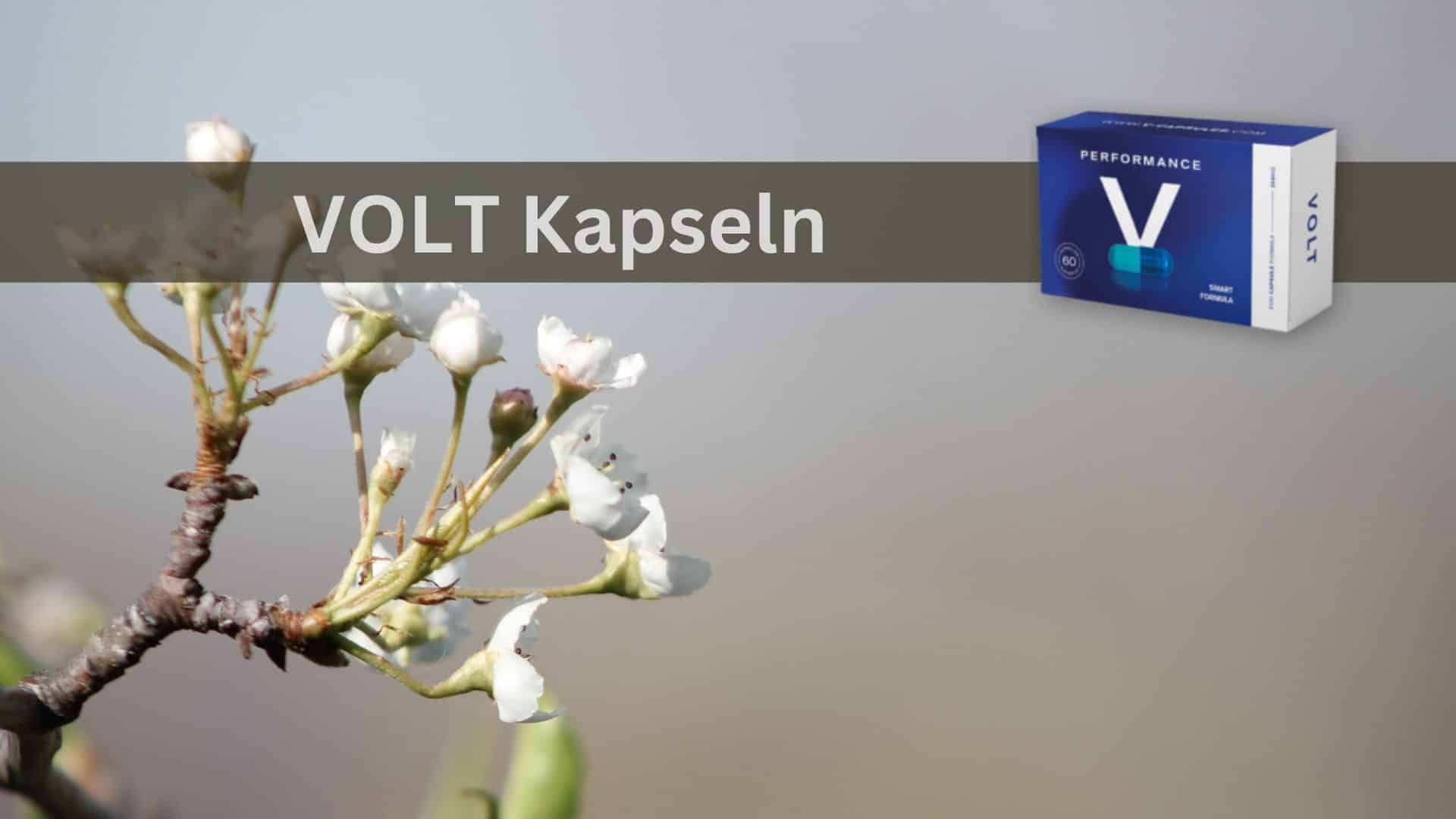 Performance V Kapseln: Eine neue Ära der Männergesundheit beginnt