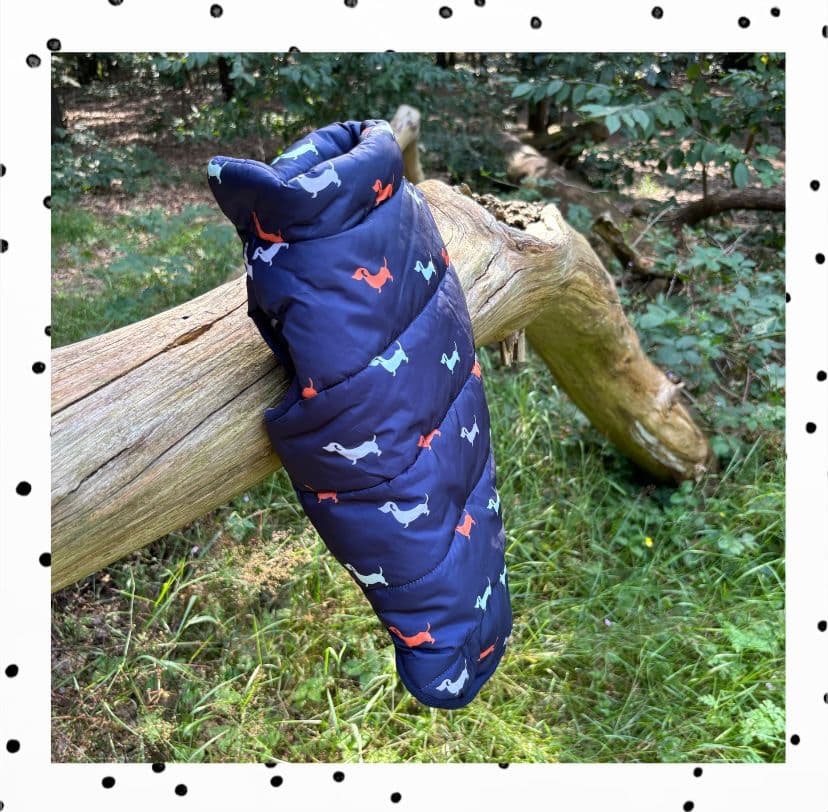Dackel Jacke Für Jede Gelegenheit: Vom Eleganten Design Bis Zur Praktischen Funktionalität – Finden Sie Die Perfekte Jacke, Um Ihren Dackel Rundum Zu Verwöhnen
