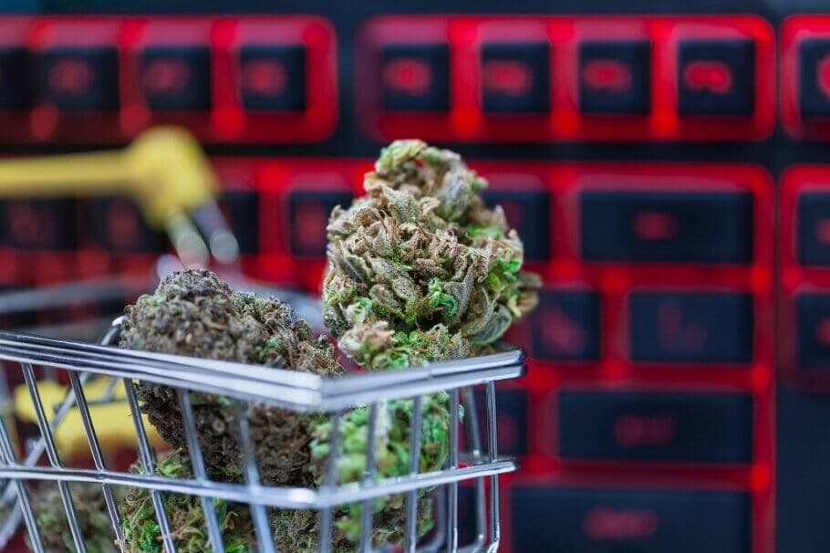 Erfolgreich Anbauen mit den besten Sorten – Cannabissamen kaufen legal in Deutschland