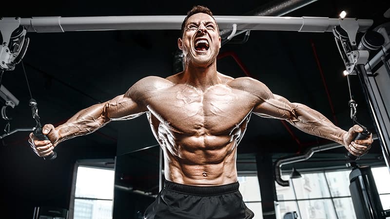 DMHA Pre Workout kaufen bei Fatburnerking – Mehr Power im Gym
