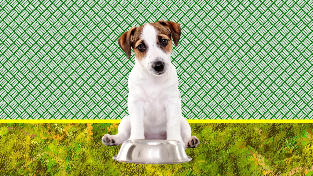 Farmer's dog pricing